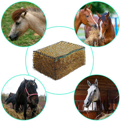 Riakrum hay net in paddock keeps hay clean and accessible during grazing sessions.