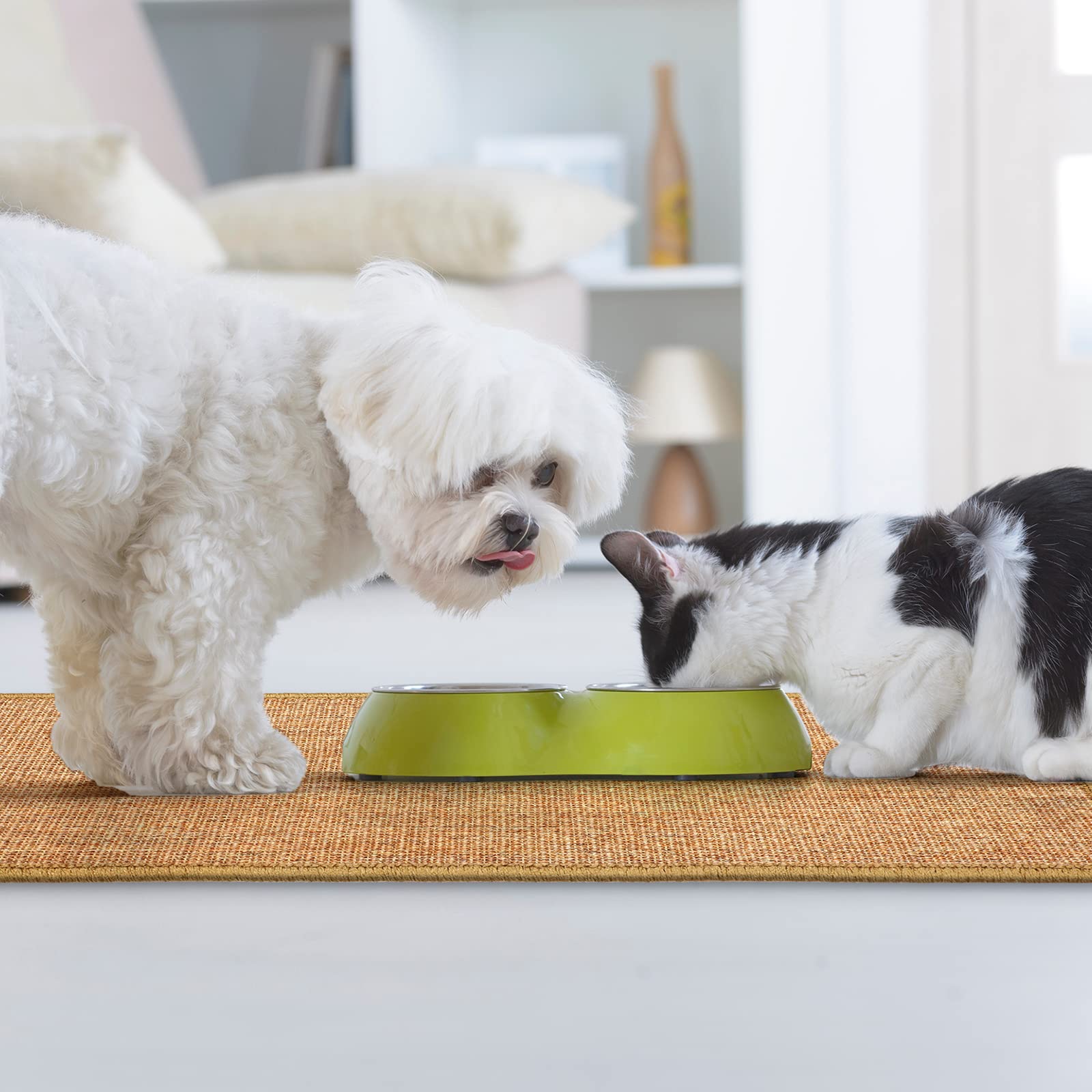 Riakrum 2-pack scratch pads offer multiple-use cat surface options.