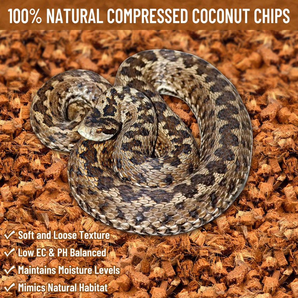 Riare coconut chip substrate retains moisture for stable humidity
