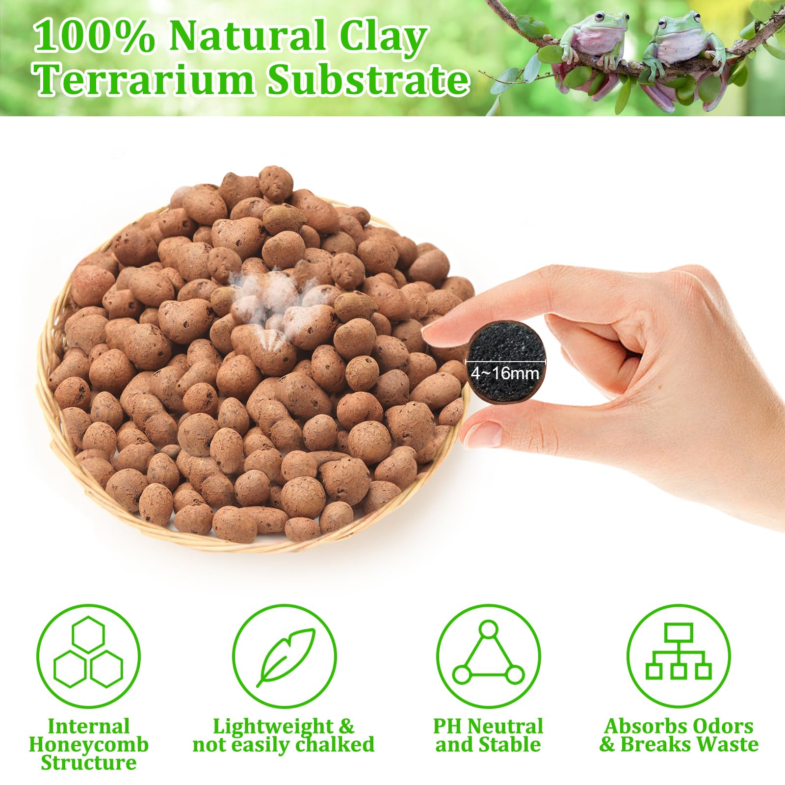 Riare natural clay pebbles provide a clean, pH-neutral base for terrariums.