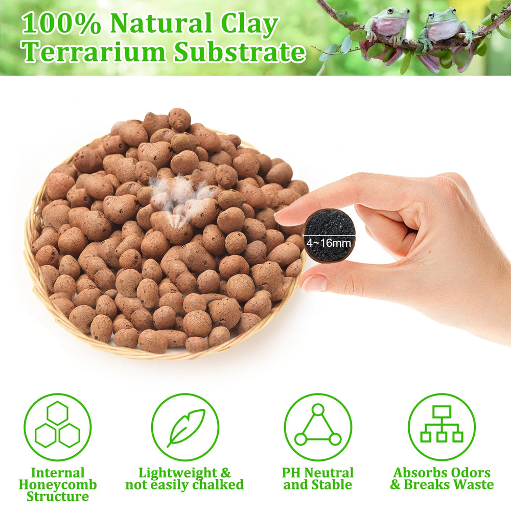 Riare natural clay pebbles provide a clean, pH-neutral base for terrariums.
