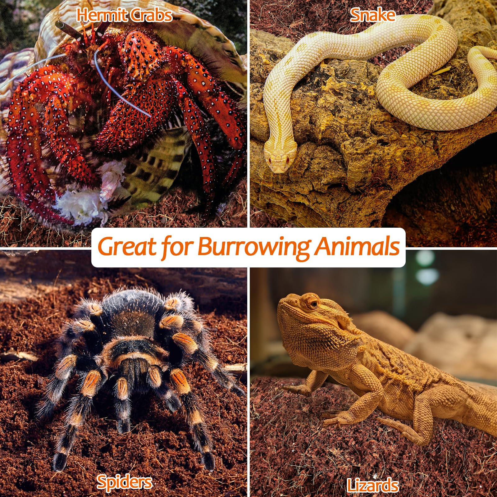 Riare sustrato terrario universal: suave y transpirable para reptiles y anfibios.