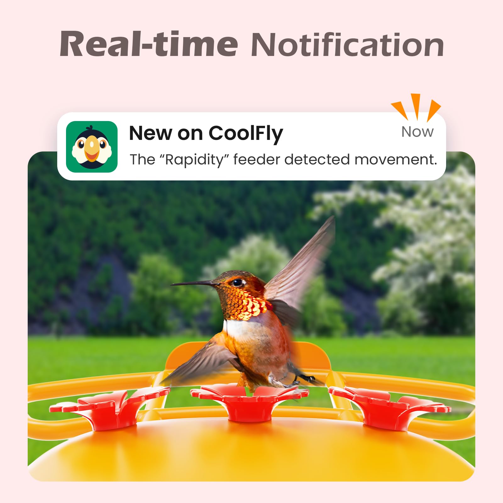 RichBird app integration image hints at CoolFly connectivity for interactive birding
