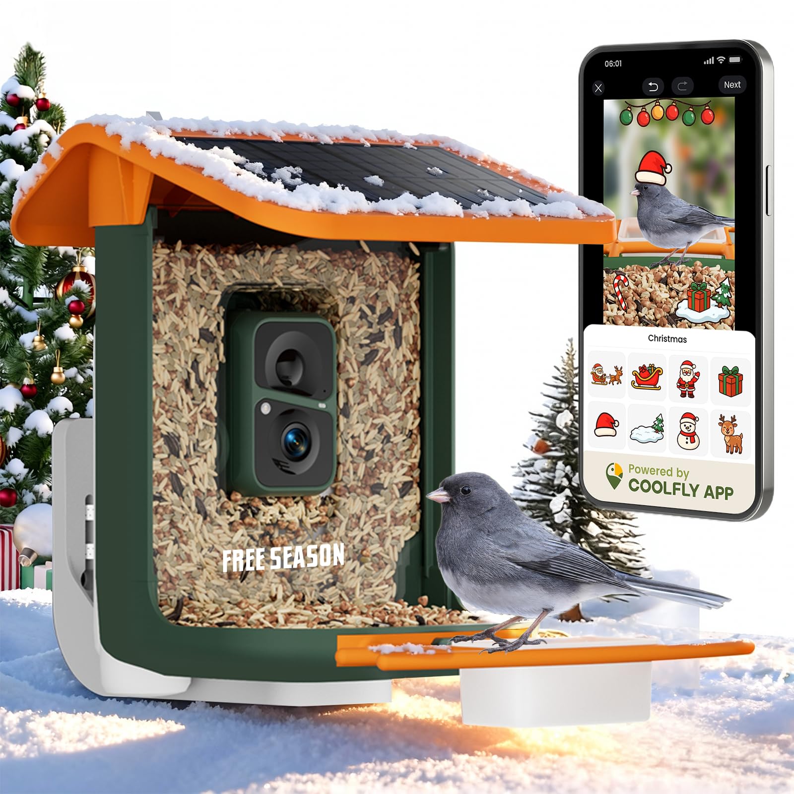 RichBird smart feeder cam in action captures vivid backyard bird activity for easy sharing