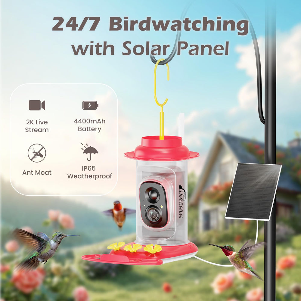 RichBird Smart Hummingbird Feeder solar panel detail enabling continuous solar-powered feeding.