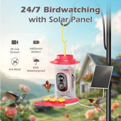 RichBird Smart Hummingbird Feeder solar panel detail enabling continuous solar-powered feeding.