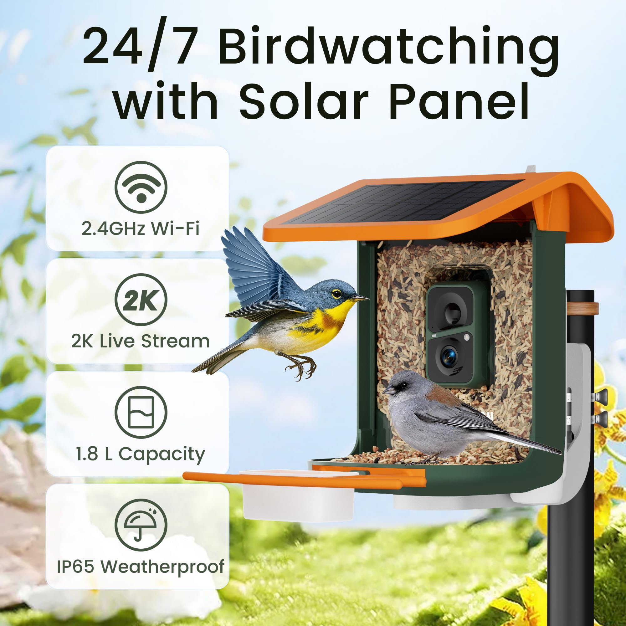 RichBird solar panel on feeder powering year-round bird watching