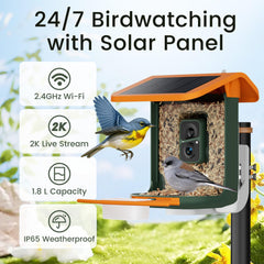 RichBird solar panel on feeder powering year-round bird watching
