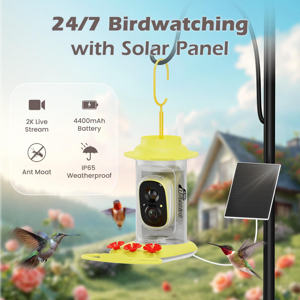 RichBird Solar-Powered Hummingbird Feeder operating outdoors with camera