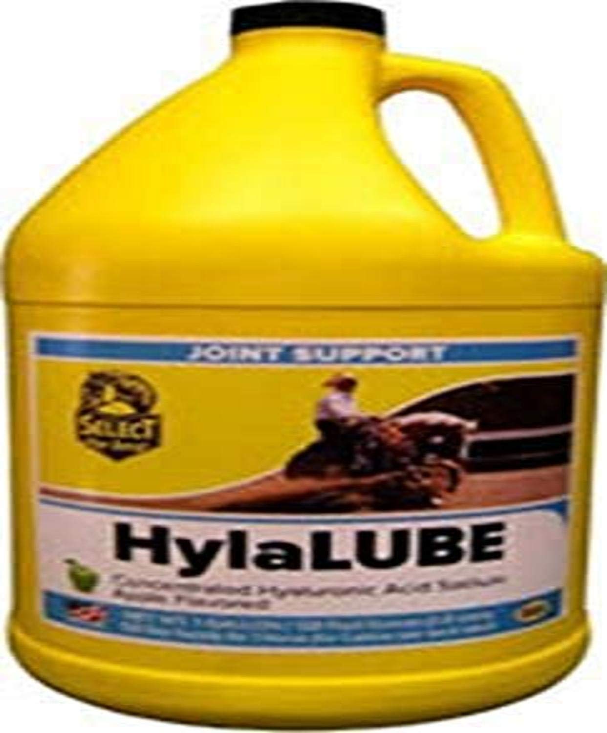 RICHDEL Hylalube Concentrate Apple bottle supports joint comfort and palatability for horses.