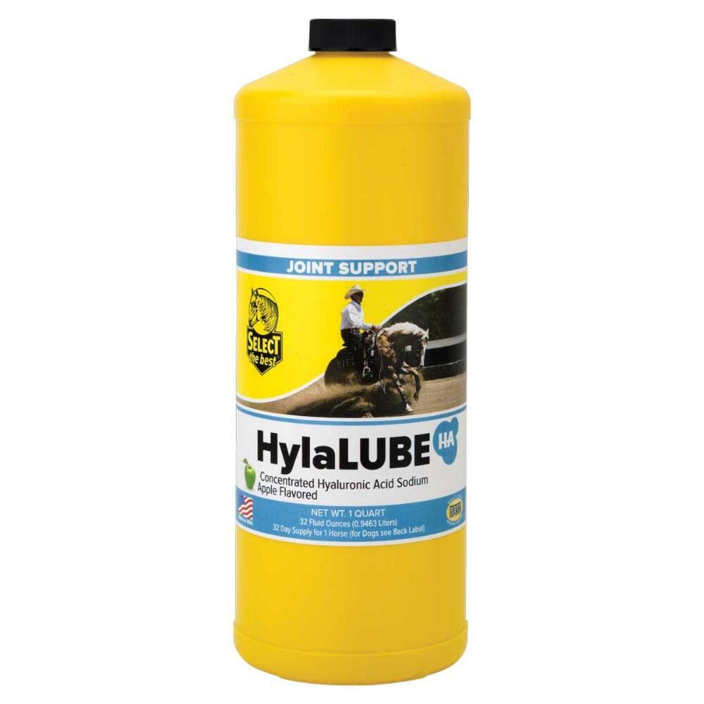 RichDel HylaLube concentrate bottle pour supports pet joint comfort and mobility during activity
