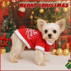 Richylahh dog Christmas outfit back view highlights full coverage.