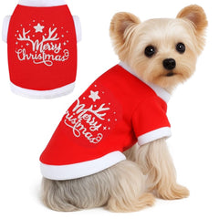 Richylahh dog Christmas outfit worn by a festive model for holiday photos.