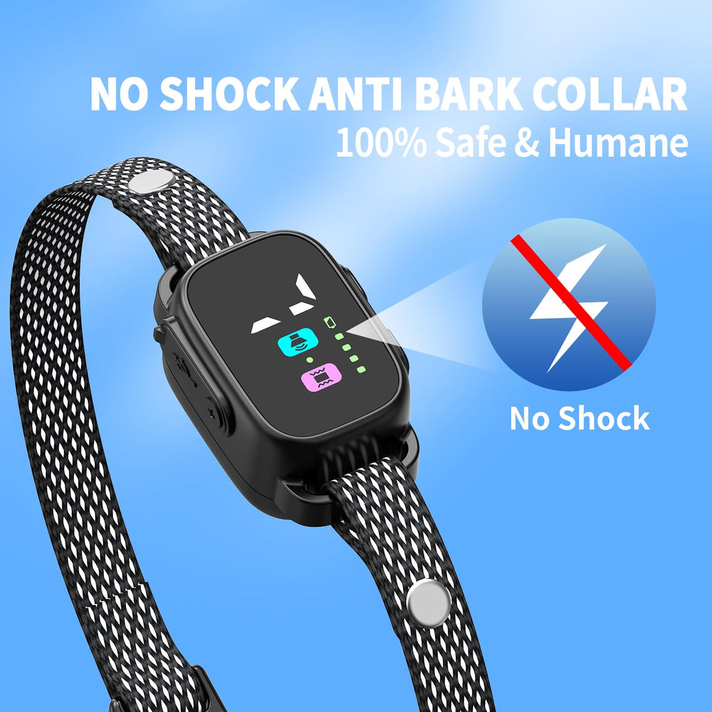 RICIVI collar highlighted by HD display for easy control