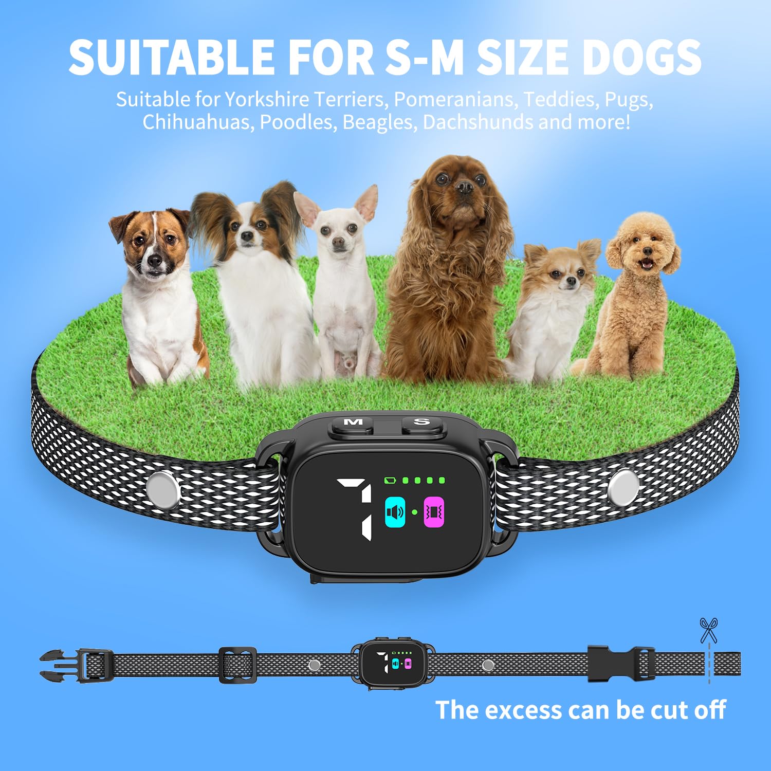 RICIVI IP67 waterproof collar ready for rain and shallow water play