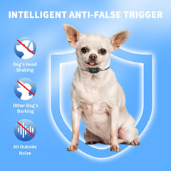 RICIVI collar demonstrating sound and vibration cues for gentle training