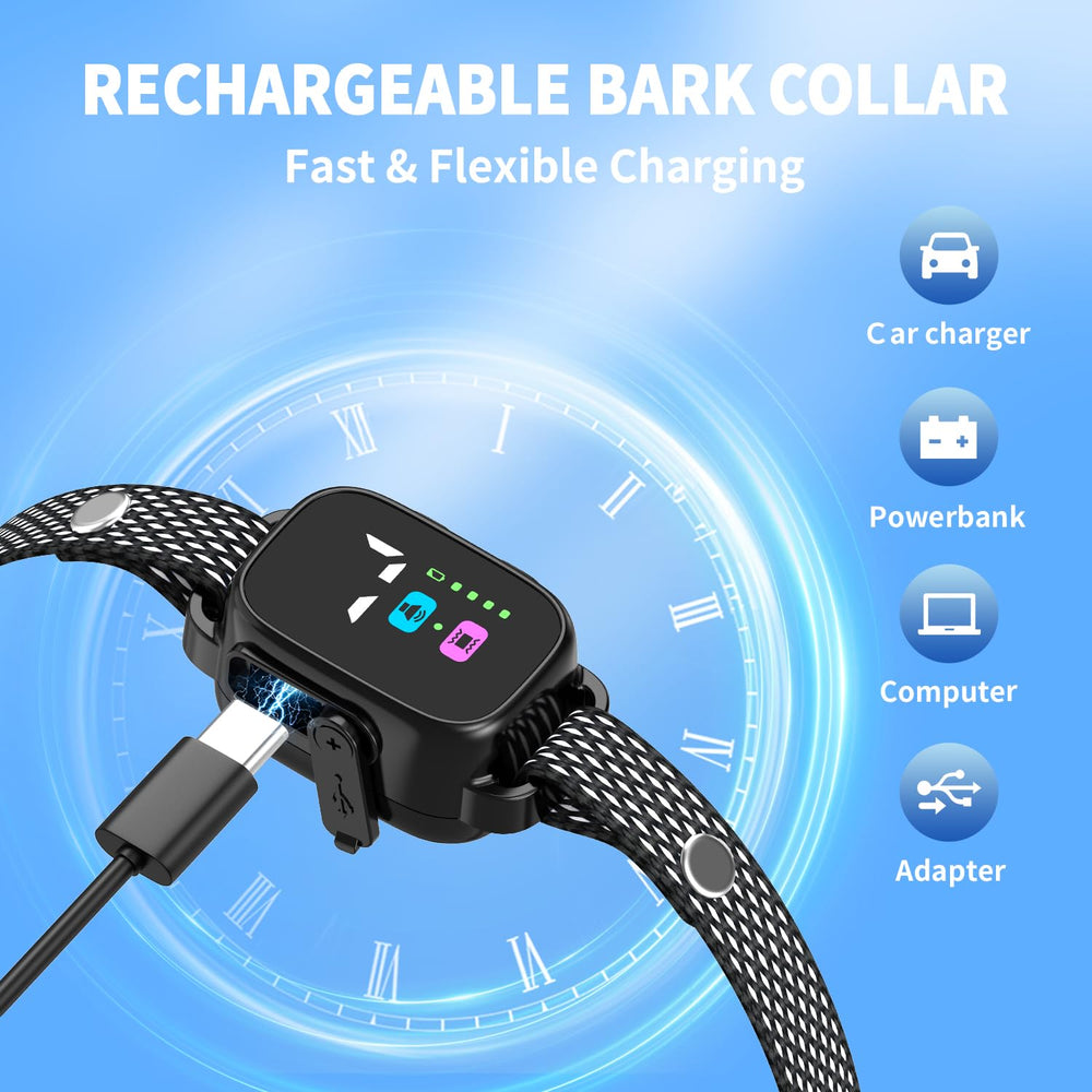 RICIVI collar charging via USB-C for fast recharge