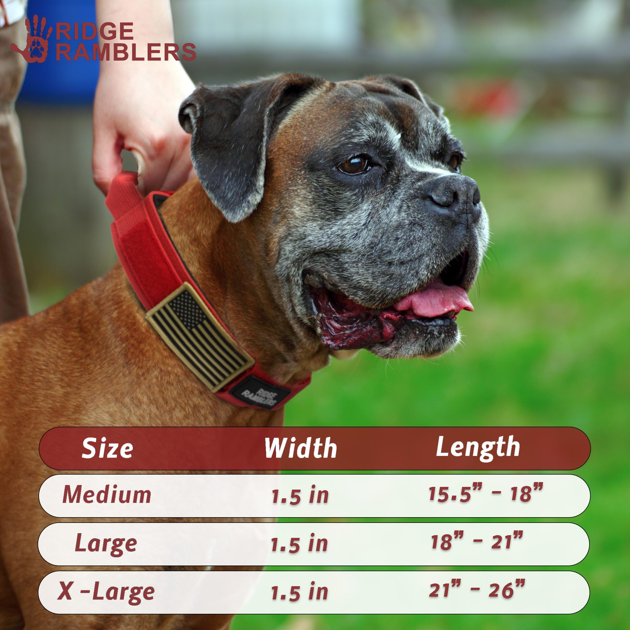 Ridge Ramblers collar sizing with three adjustable lengths fits medium to X-large dogs.
