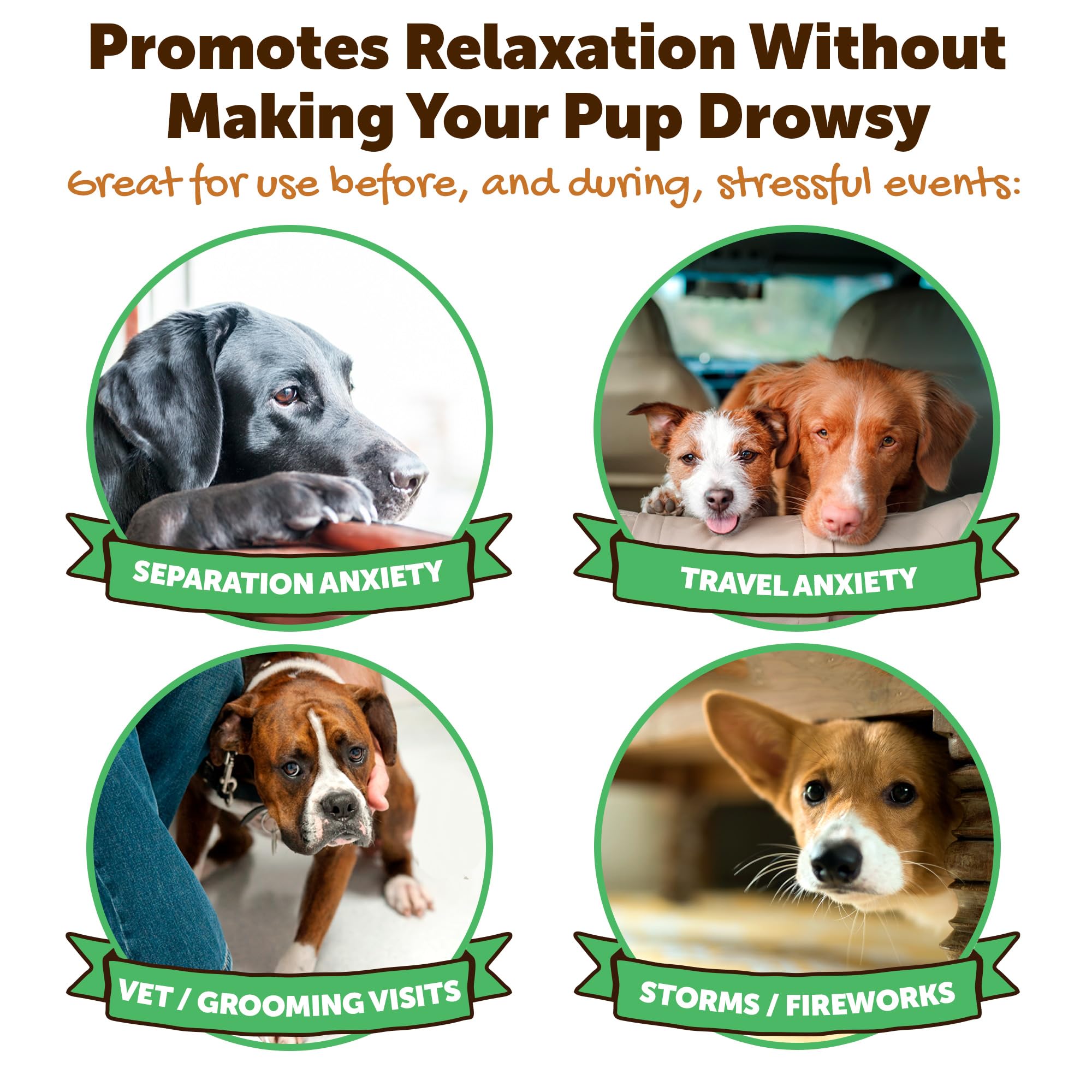 Riley's calming blend label highlights Ashwagandha and L-Theanine benefits for dogs.