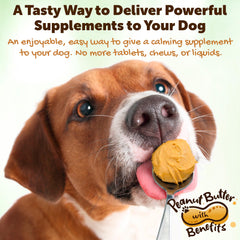 Riley's calming peanut butter pour highlighting smooth texture for quick dog treats.