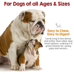 Ridley's crunchy-texture lamb lung dog chews ideal for training.