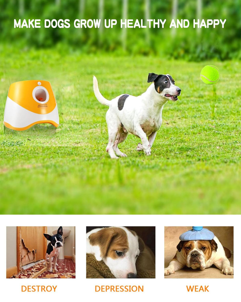Rigshru ball launcher in use with a small dog for interactive fetch.