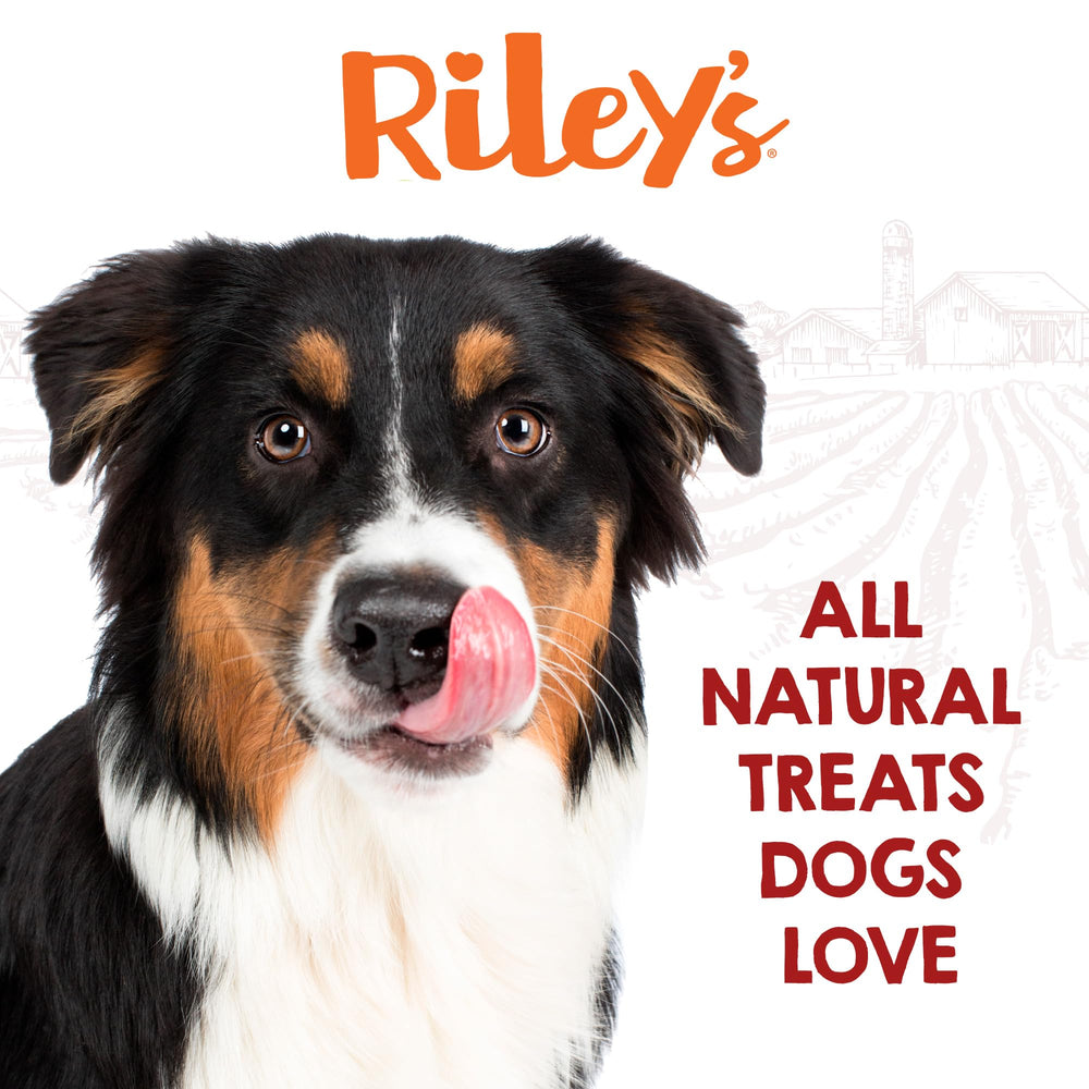 Riley's collagen chews may support digestive health and gut lining integrity.