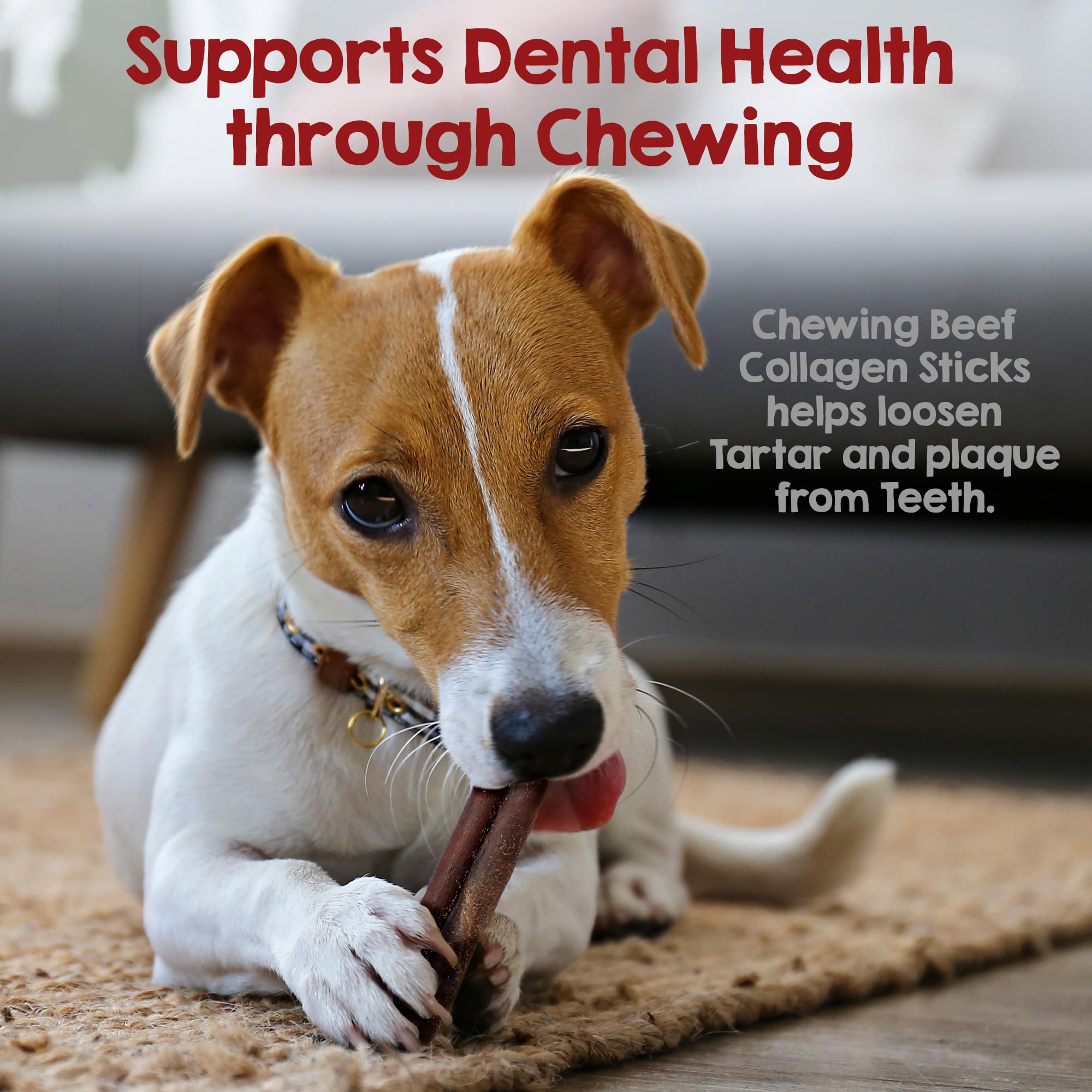 Riley's no-raw-hide chews package, positioning as a safe alternative for dogs.