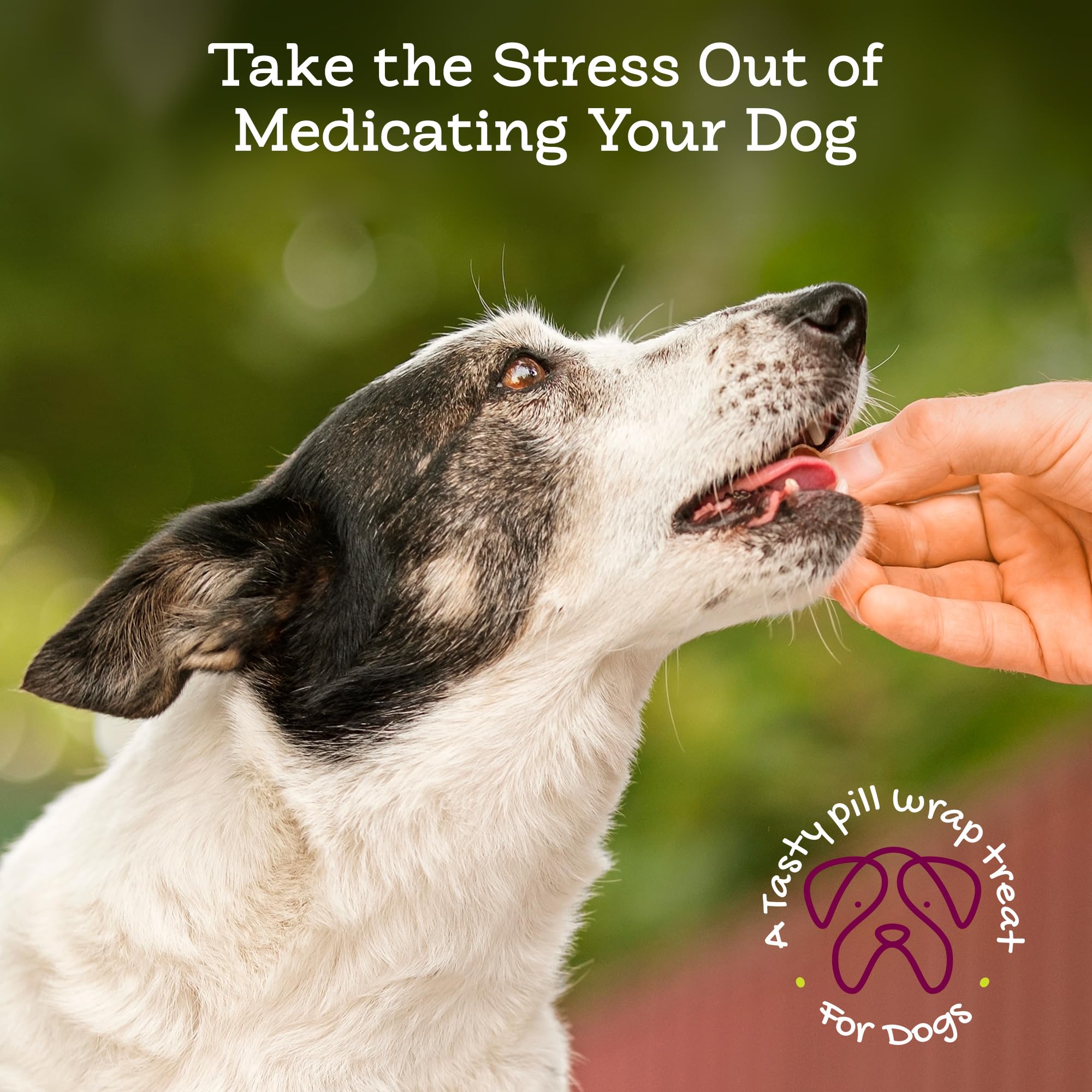 Riley's Pill Wrap demonstrates taste-masked pill benefits for easier dosing