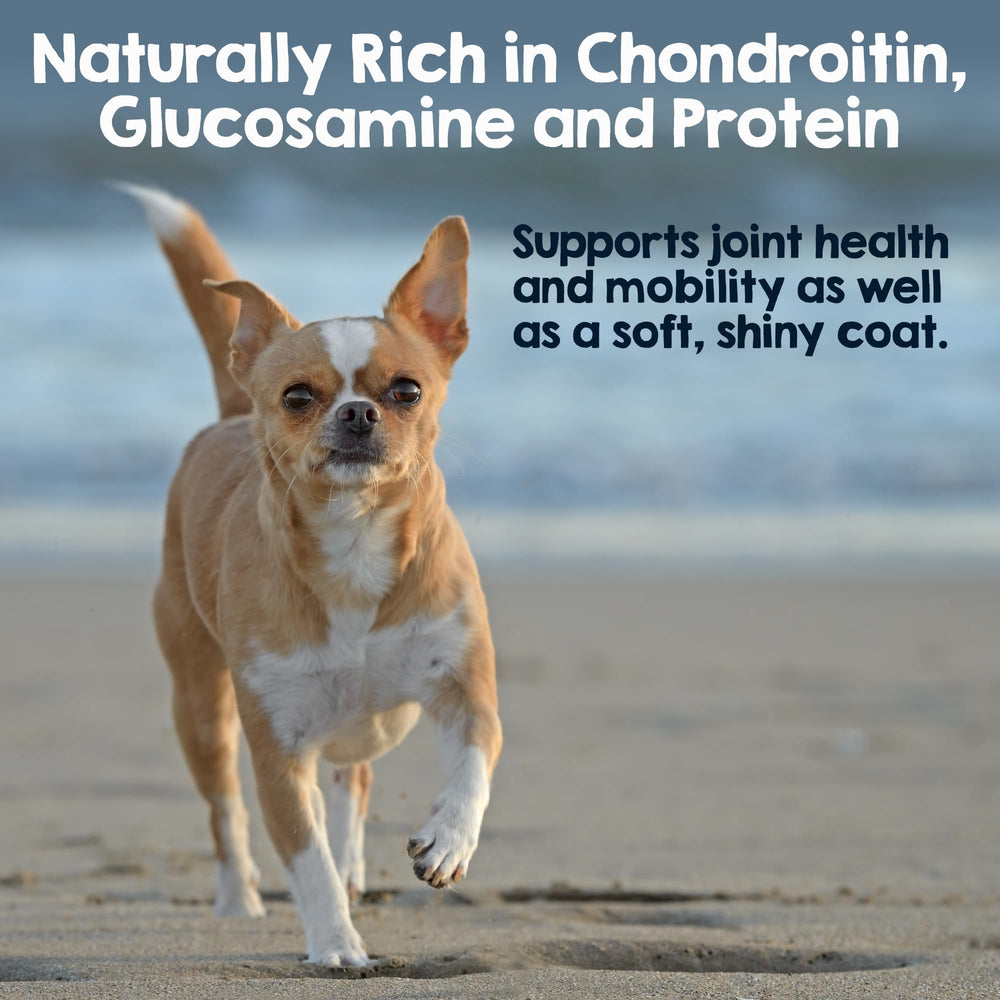 Riley's Steer Bully Stick odor-free chew for clean indoor treats.