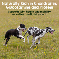 Riley's Steer Bully Sticks odor-free feature highlighted for a clean chew.