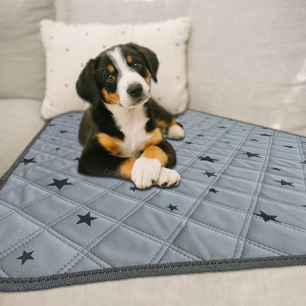 RIOUSSI Pee Pads are versatile for whelping, travel, or crate protection.