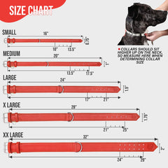 Riparo red leather dog collar close-up highlighting premium leather texture.