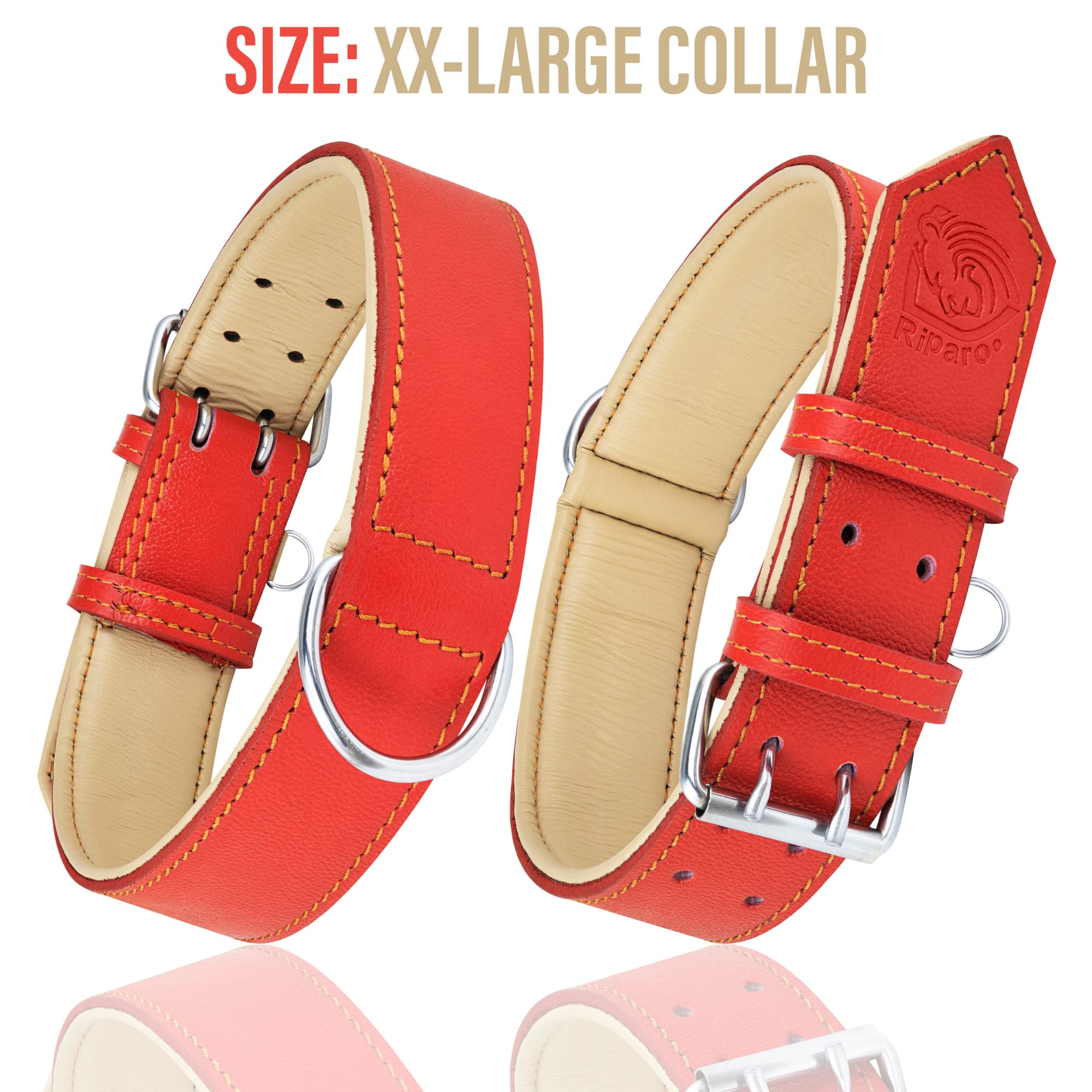 Riparo red leather dog collar D-ring and buckle close-up for secure training.