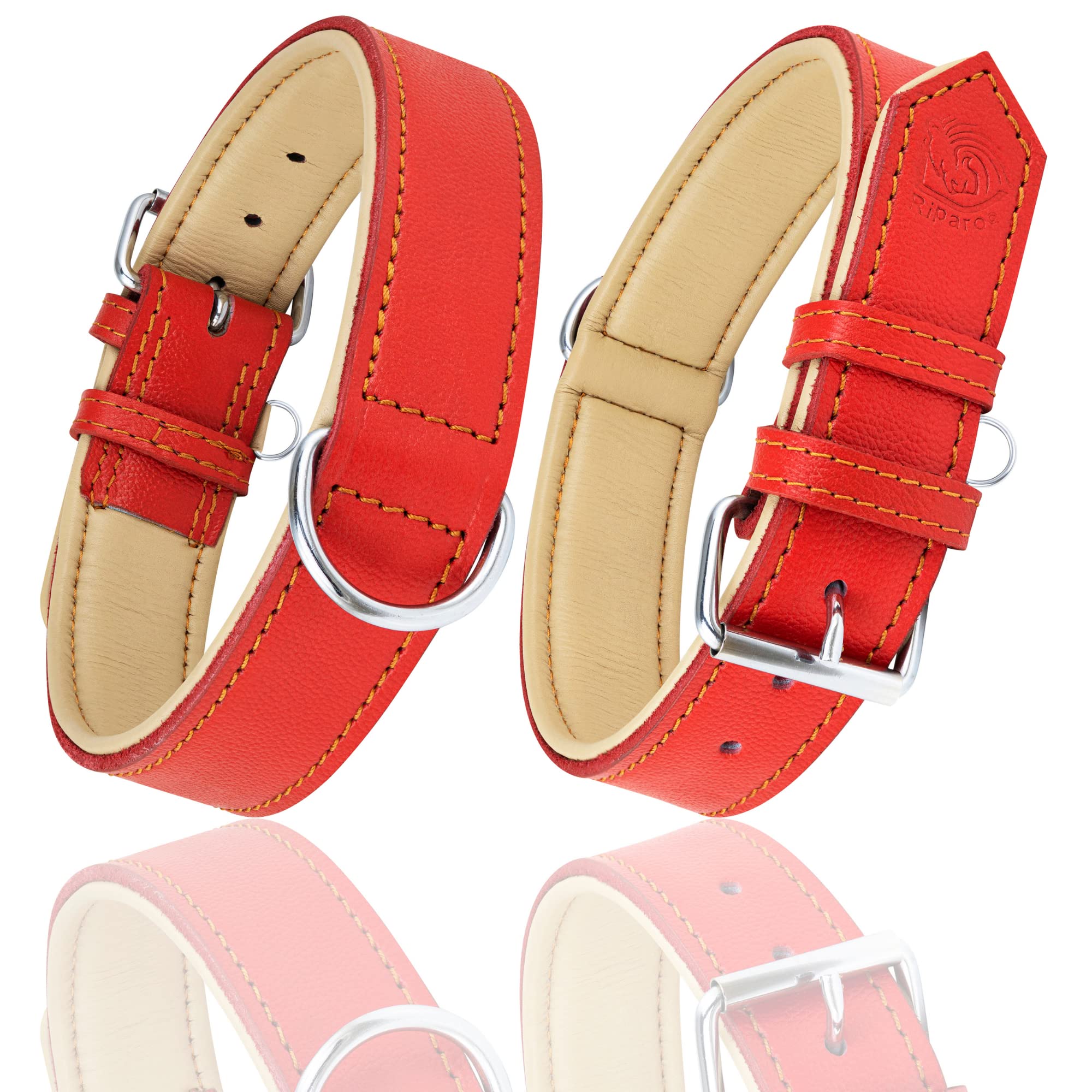 Riparo red leather dog collar low-angle shot emphasizing width for large dogs.