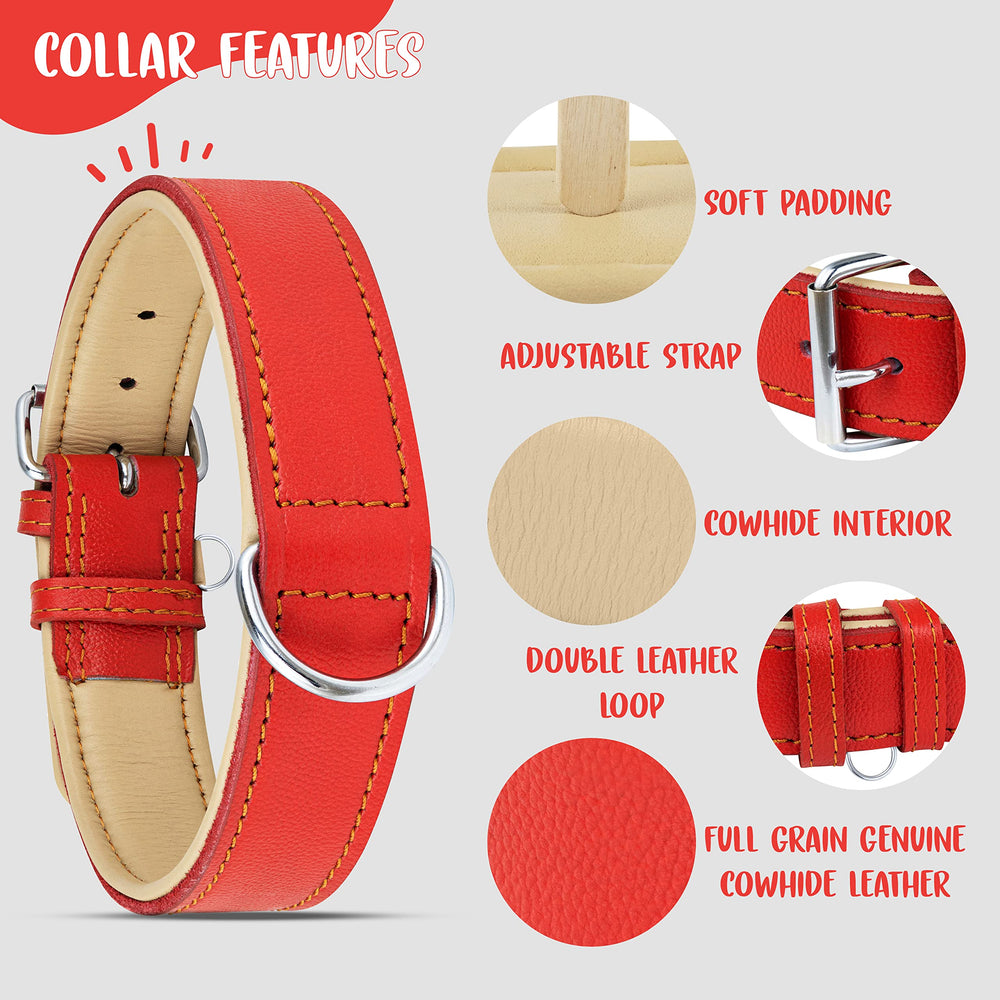 Riparo red leather dog collar with tag holder for easy identification.
