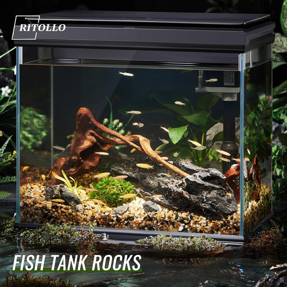 RITOLLO mixed-color pebbles for aquariums create visual interest while supporting moisture retention in pots