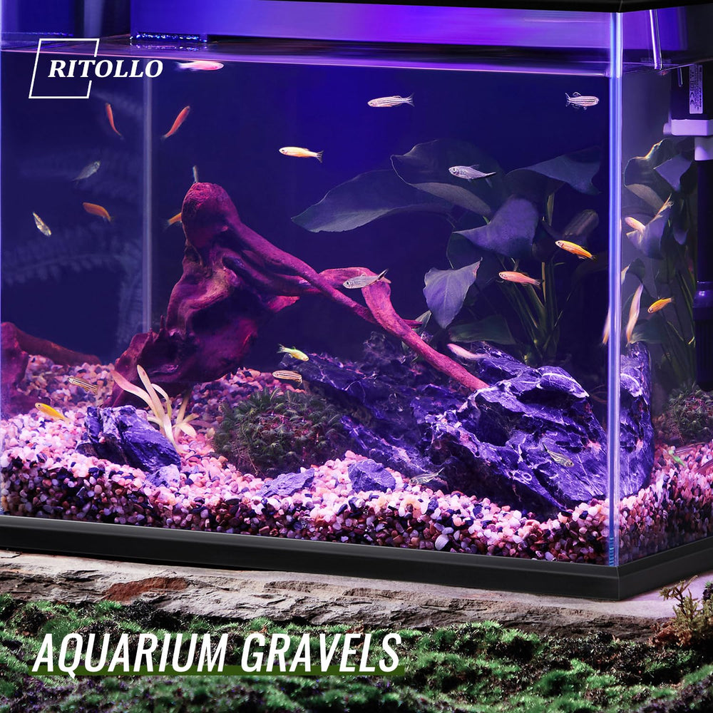 RITOLLO plant rocks help with drainage and decorative covers for succulents and terrariums
