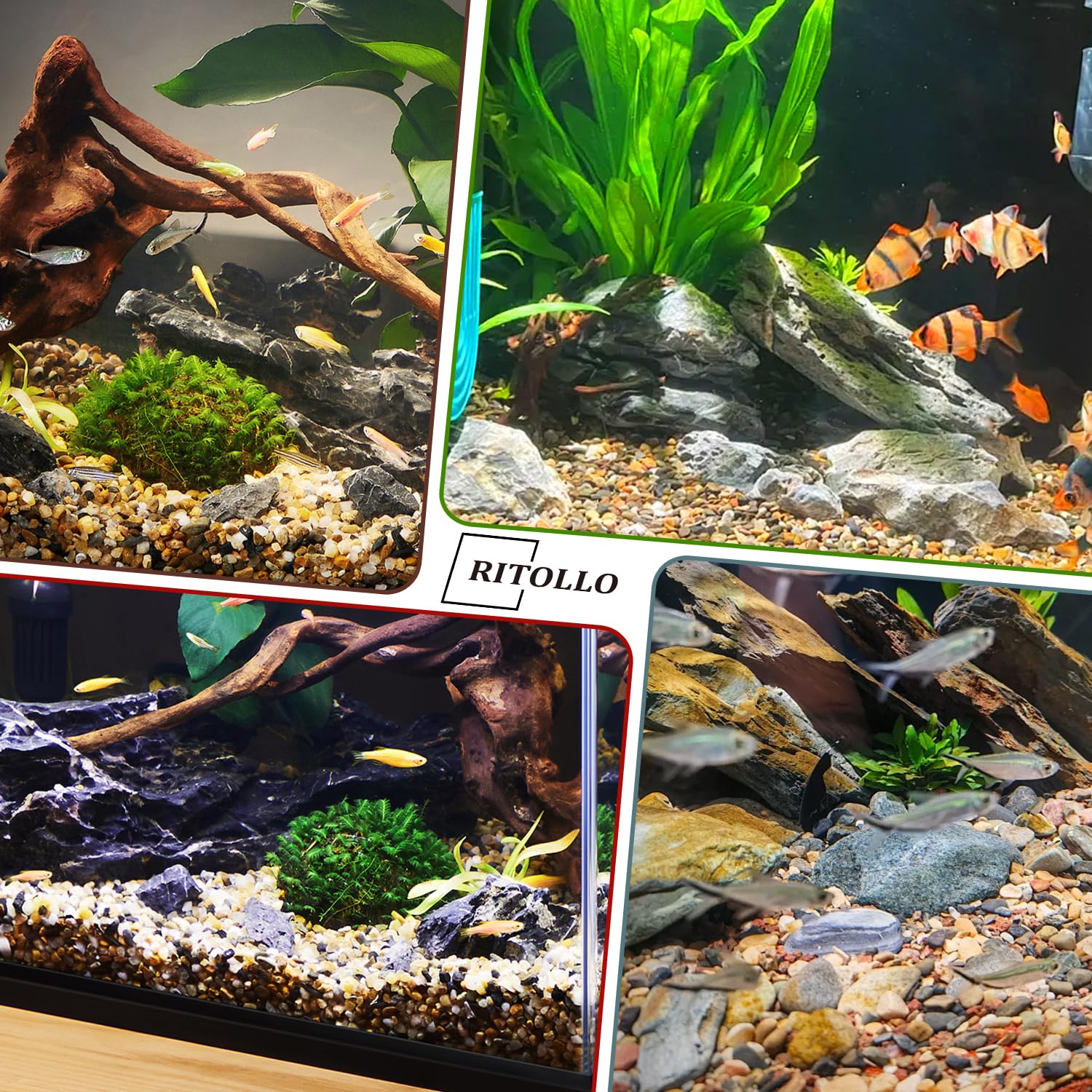 RITOLLO terrarium-aquarium stones blend naturally with greenery and create calming micro-environments