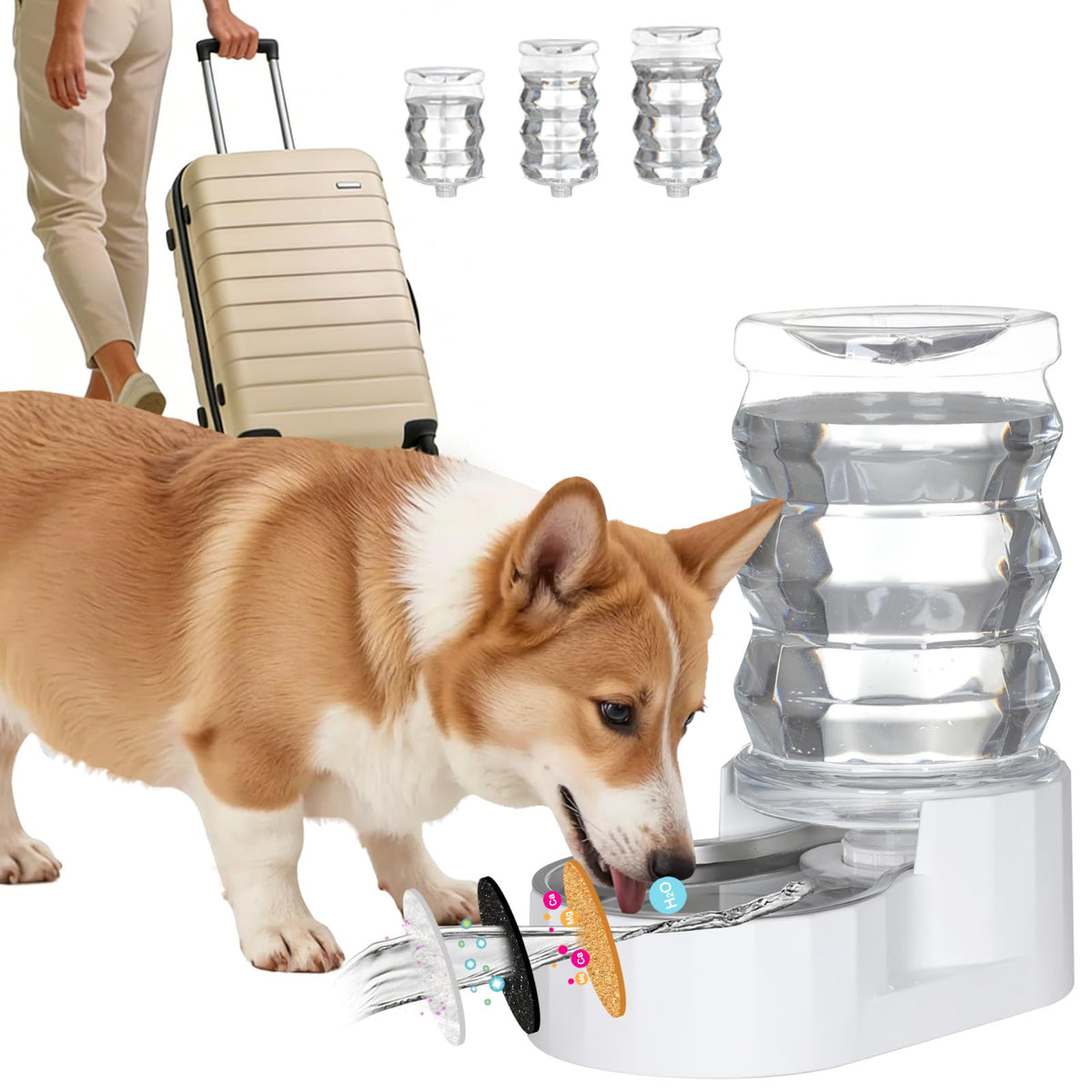 Rizzari Automatic Gravity Pet Waterer front view with 7L capacity ensuring steady hydration for pets.