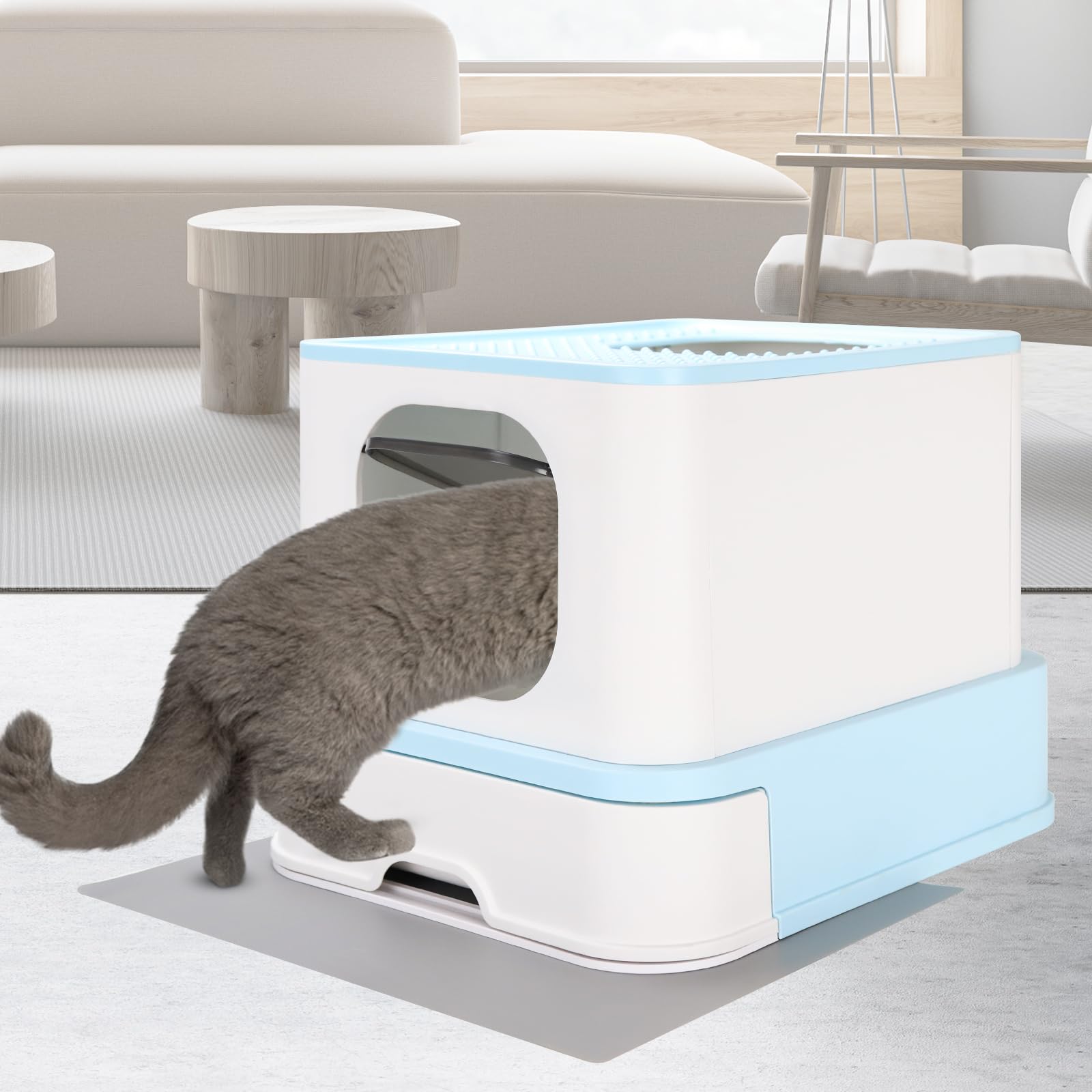 RIZZARI green aesthetic adds a soft look to bathrooms or laundry rooms.