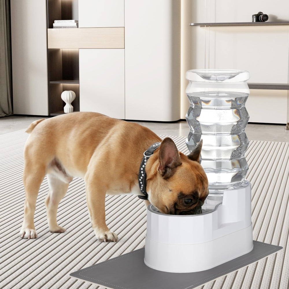 RIZZARI garage garden pet feeder keeps water accessible in outdoor spaces