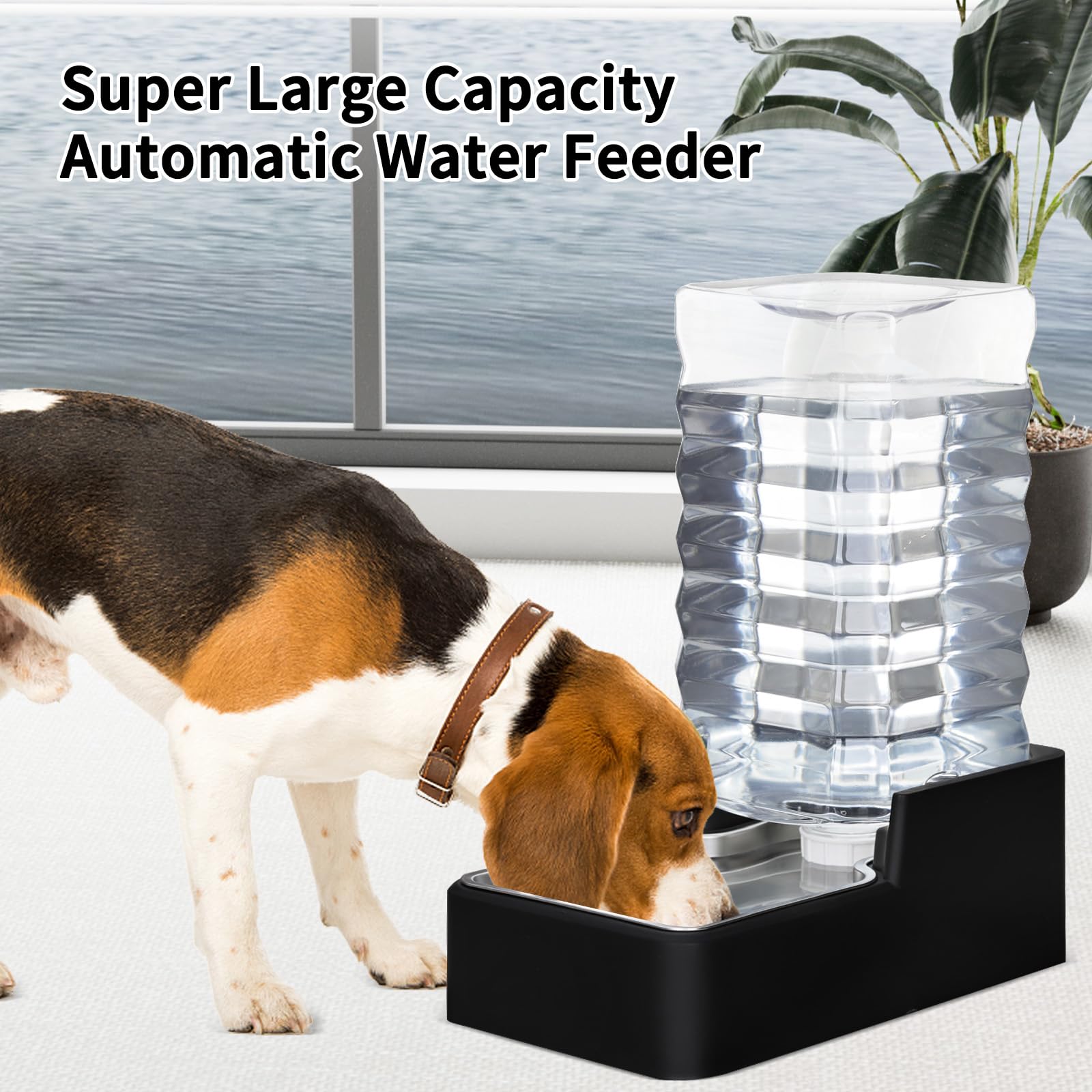RIZZARI pet drinking in natural posture with gravity feeder for comfortable hydration.