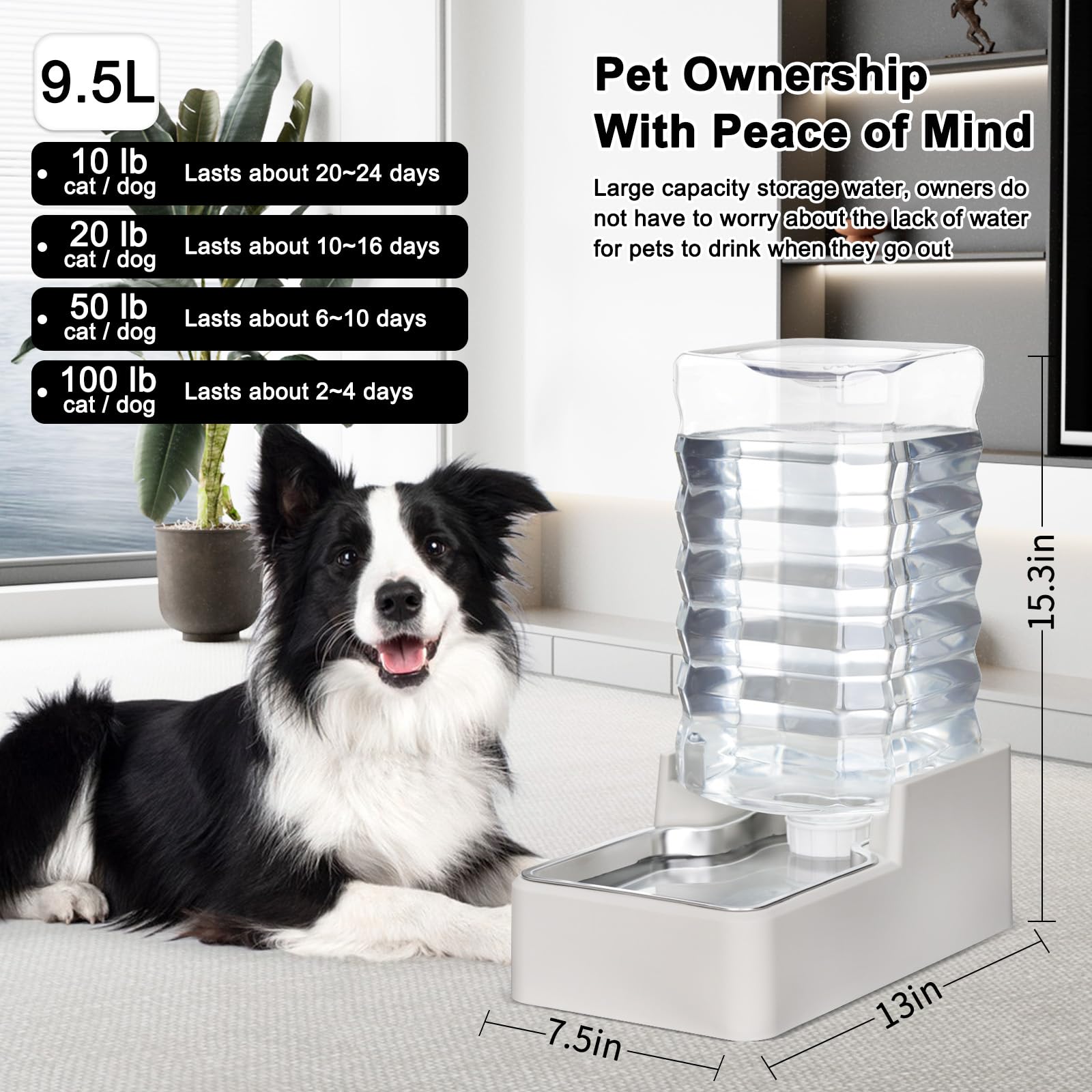 RIZZARI 304-grade stainless steel bowl for rust resistance and easy cleaning.