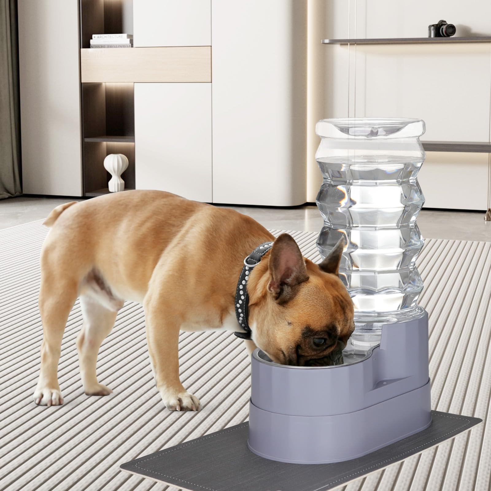 RIZZARI transparent bottle lets you monitor water levels at a glance