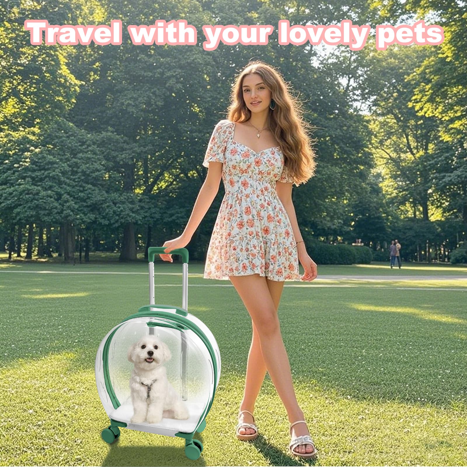 RKROUCO carrier compact dimensions 19.7x17.7x9.9 inches fit travel spaces