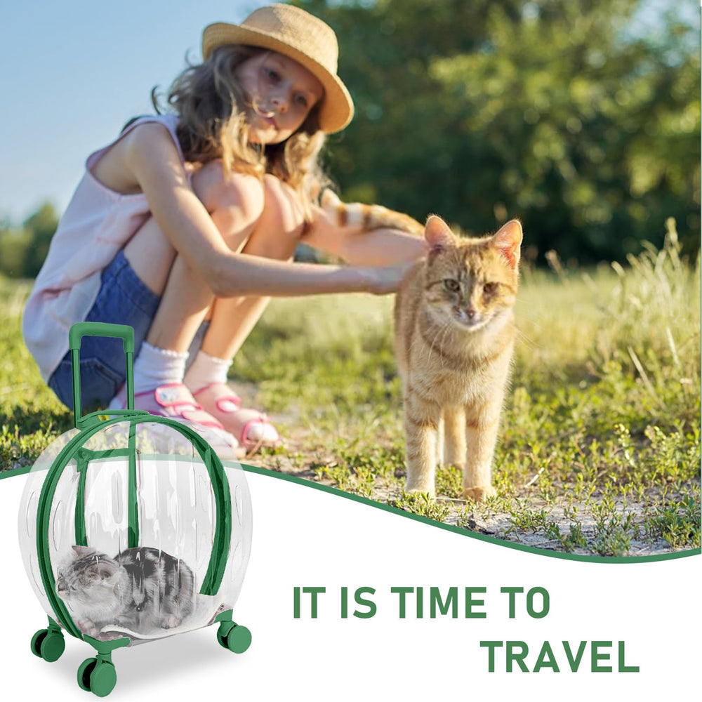 RKROUCO transparent carrier may ease pet anxiety by offering sight lines