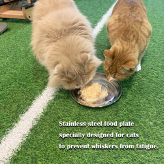 RMNHPTK cat dish with non-slip mat prevents sliding during meals.