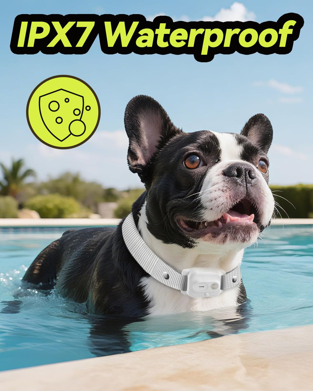 RMOKISIN dog shock collar dual-channel design supports training two dogs simultaneously.