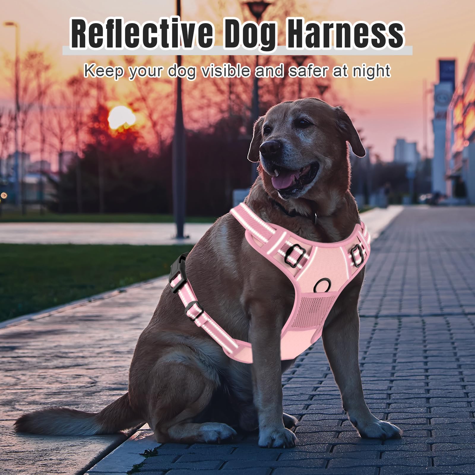 Rnivvi Adjustable straps pink harness demonstrates secure fit for large dogs